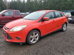 2013 Ford Focus Se Red vin: 1FADP3K25DL355432