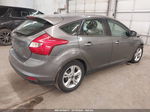 2013 Ford Focus Se Gray vin: 1FADP3K25DL382033