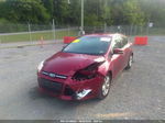 2014 Ford Focus Se Темно-бордовый vin: 1FADP3K25EL273086