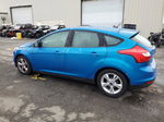 2014 Ford Focus Se Blue vin: 1FADP3K25EL312386