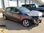 2014 Ford Focus Se Серый vin: 1FADP3K25EL418594