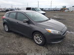 2015 Ford Focus Se Gray vin: 1FADP3K25FL386389