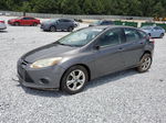 2013 Ford Focus Se Gray vin: 1FADP3K26DL153859