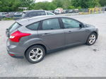 2013 Ford Focus Se Gray vin: 1FADP3K26DL237289