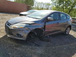 2014 Ford Focus Se Gray vin: 1FADP3K26EL258113