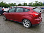 2014 Ford Focus Se Red vin: 1FADP3K26EL367686