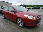 2014 Ford Focus Se Red vin: 1FADP3K26EL367686