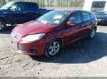 2014 Ford Focus Se Red vin: 1FADP3K26EL401903