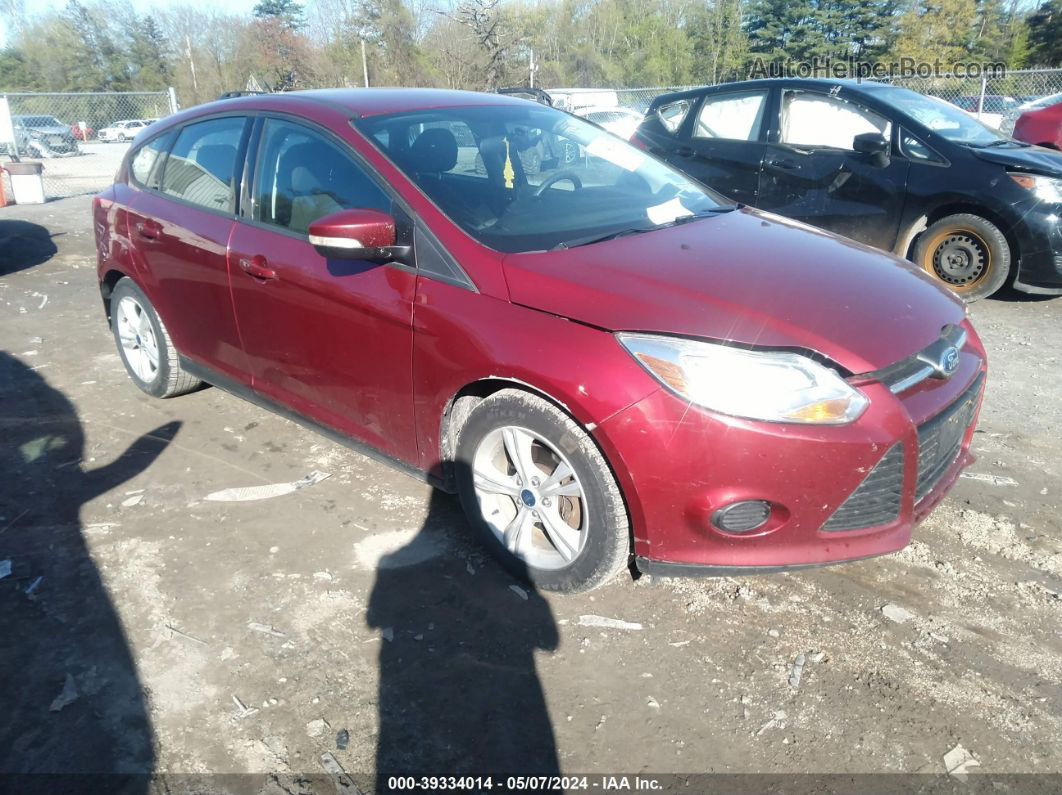 2014 Ford Focus Se Красный vin: 1FADP3K26EL401903