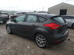 2015 Ford Focus Se Black vin: 1FADP3K26FL318411