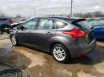 2017 Ford Focus Se Gray vin: 1FADP3K26HL216819