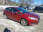 2015 Ford Focus Se Red vin: 1FADP3K27FL302265