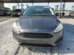 2016 Ford Focus Se Gray vin: 1FADP3K27GL406529