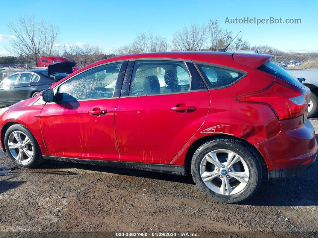 2013 Ford Focus Se Red vin: 1FADP3K28DL112942