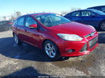 2013 Ford Focus Se Red vin: 1FADP3K28DL112942