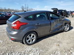 2013 Ford Focus Se Gray vin: 1FADP3K28DL114285