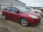 2013 Ford Focus Se Red vin: 1FADP3K28DL136027