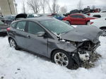 2013 Ford Focus Se Gray vin: 1FADP3K28DL218579