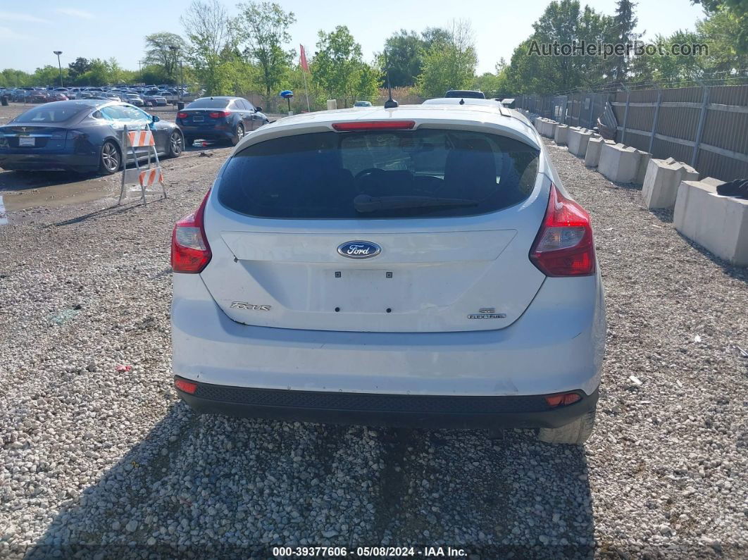 2014 Ford Focus Se White vin: 1FADP3K28EL293400