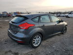 2015 Ford Focus Se Gray vin: 1FADP3K28FL230234