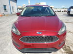 2016 Ford Focus Se Темно-бордовый vin: 1FADP3K28GL391216