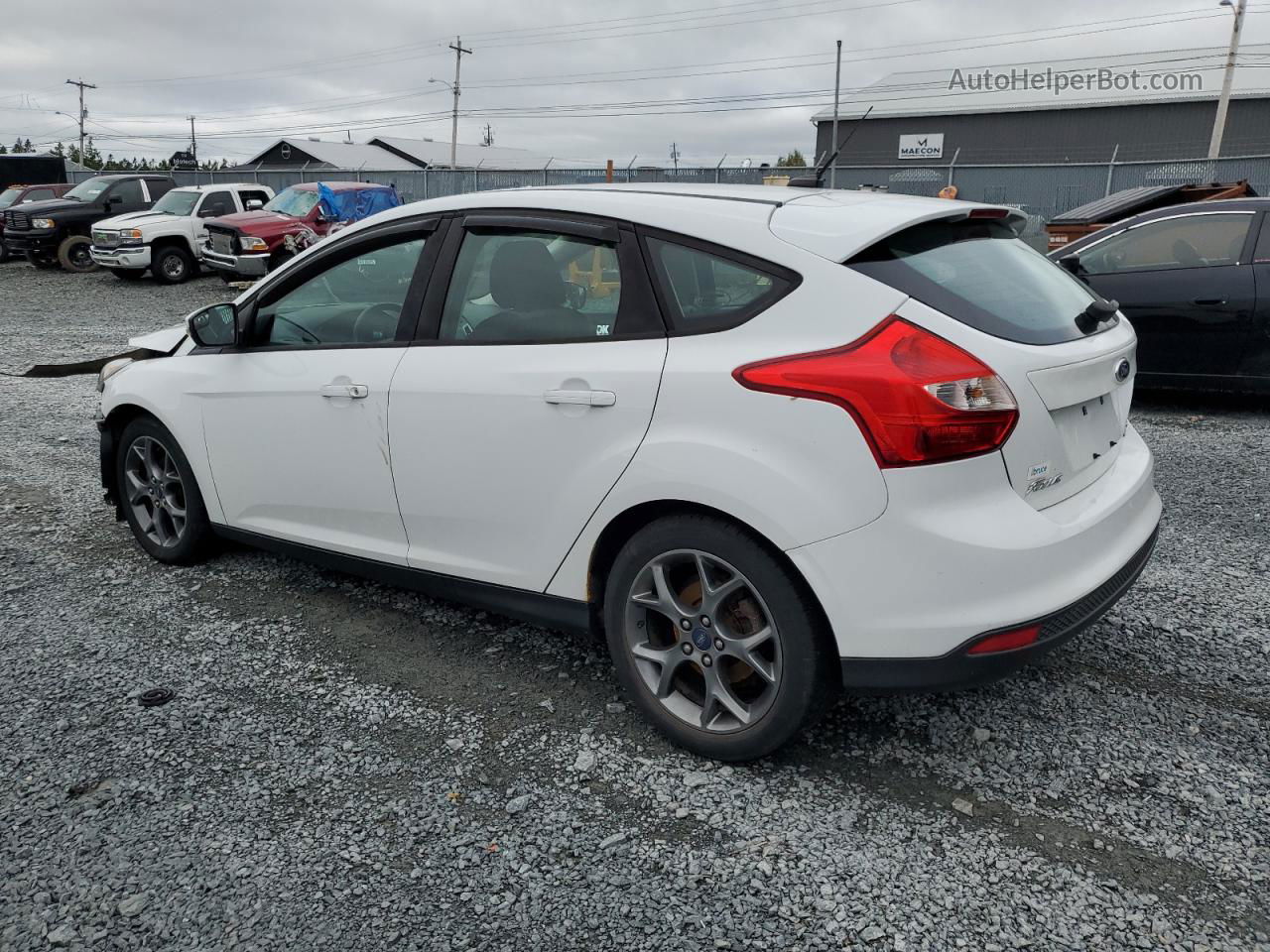 2013 Ford Focus Se White vin: 1FADP3K29DL214993