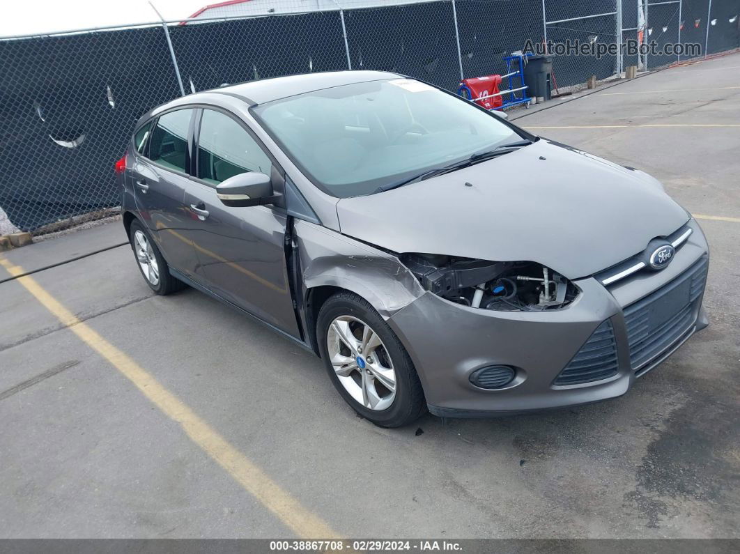 2013 Ford Focus Se Gray vin: 1FADP3K29DL224858