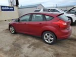 2013 Ford Focus Se Red vin: 1FADP3K29DL279892