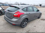 2013 Ford Focus Se Gray vin: 1FADP3K29DL375201