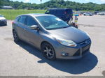 2013 Ford Focus Se Silver vin: 1FADP3K29DL375201