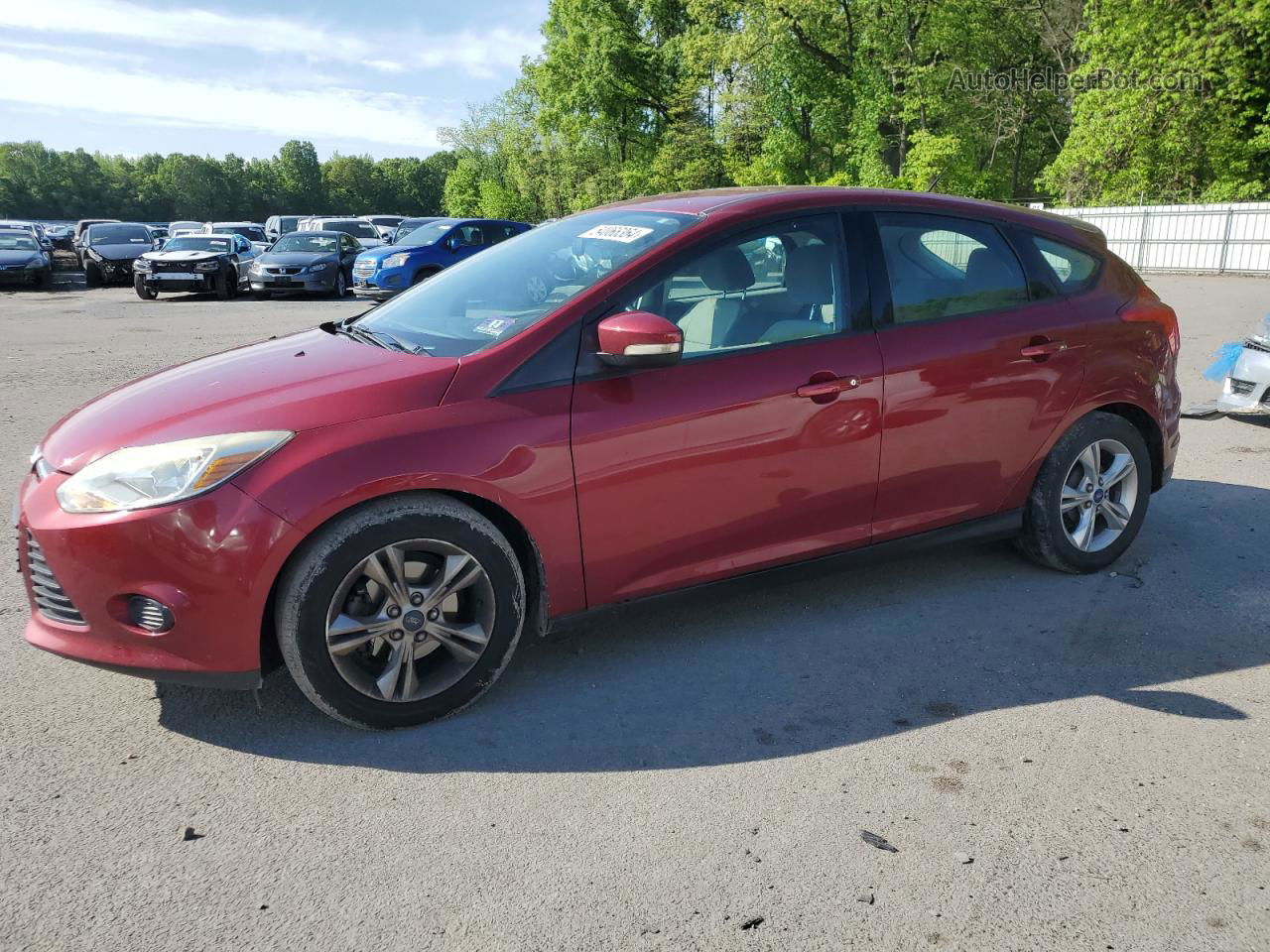 2014 Ford Focus Se Red vin: 1FADP3K29EL159124