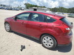 2014 Ford Focus Se Red vin: 1FADP3K29EL261281