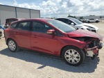 2014 Ford Focus Se Red vin: 1FADP3K29EL261281