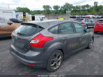 2014 Ford Focus Se Gray vin: 1FADP3K29EL395370