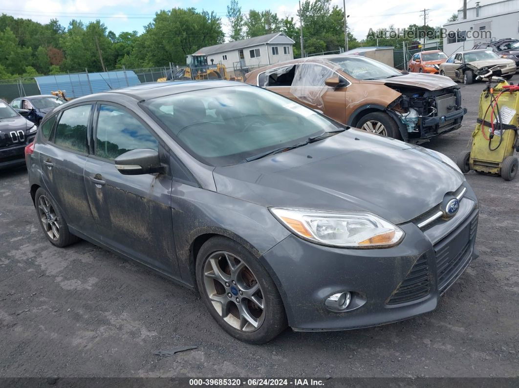 2014 Ford Focus Se Gray vin: 1FADP3K29EL395370