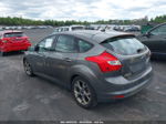 2014 Ford Focus Se Gray vin: 1FADP3K29EL395370