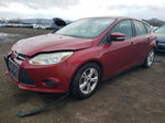 2014 Ford Focus Se Red vin: 1FADP3K29EL442770