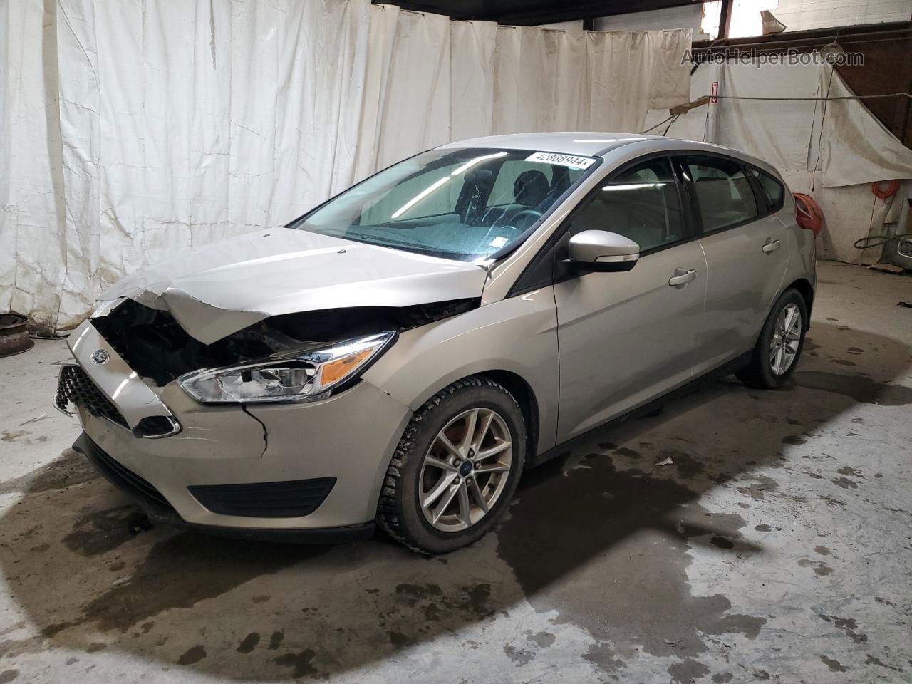 2015 Ford Focus Se Cream vin: 1FADP3K29FL363021