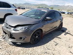 2013 Ford Focus Se Gray vin: 1FADP3K2XDL135915