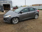 2013 Ford Focus Se Gray vin: 1FADP3K2XDL145084