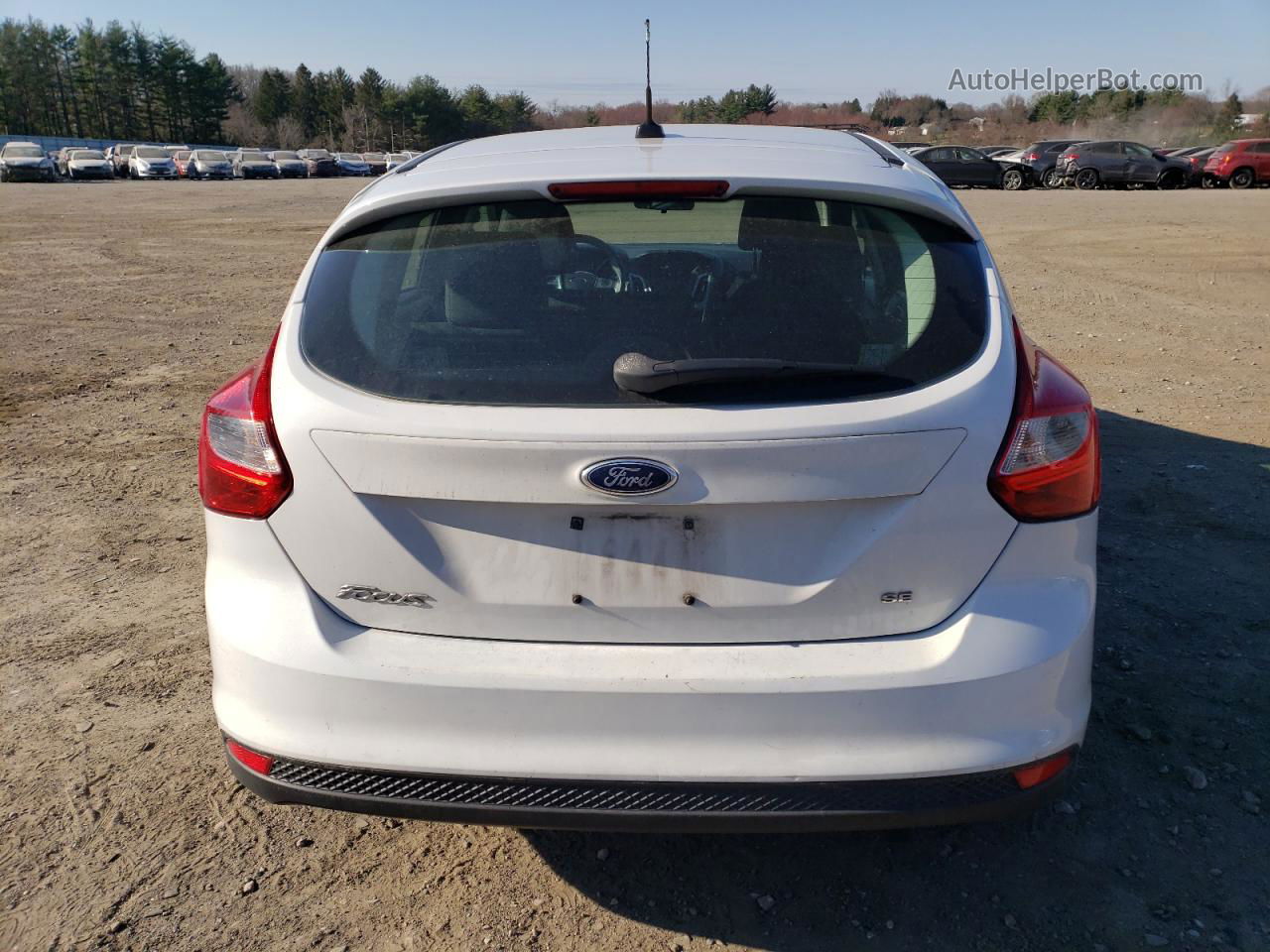 2013 Ford Focus Se White vin: 1FADP3K2XDL325360