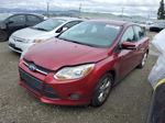 2013 Ford Focus Se Red vin: 1FADP3K2XDL335631