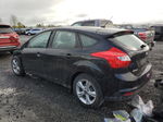 2014 Ford Focus Se Black vin: 1FADP3K2XEL408031