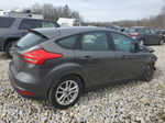 2015 Ford Focus Se Gray vin: 1FADP3K2XFL237573