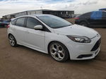 2013 Ford Focus St Белый vin: 1FADP3L90DL249191