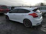 2013 Ford Focus St White vin: 1FADP3L91DL364835