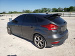 2016 Ford Focus St Gray vin: 1FADP3L91GL304199