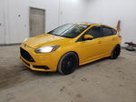 2013 Ford Focus St Желтый vin: 1FADP3L92DL207041