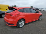 2017 Ford Focus St Red vin: 1FADP3L93HL331549