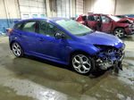 2013 Ford Focus St Blue vin: 1FADP3L94DL295445